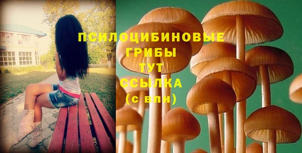 индика Абинск