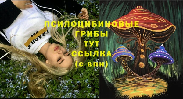 бошки Абдулино