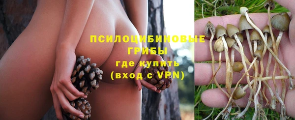 МДПВ Алексеевка