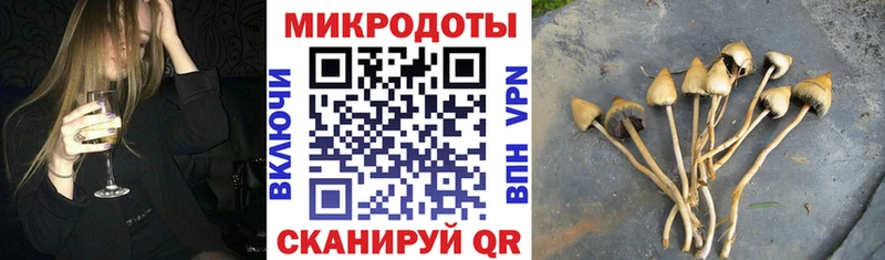 Псилоцибиновые грибы Cubensis Карабаново